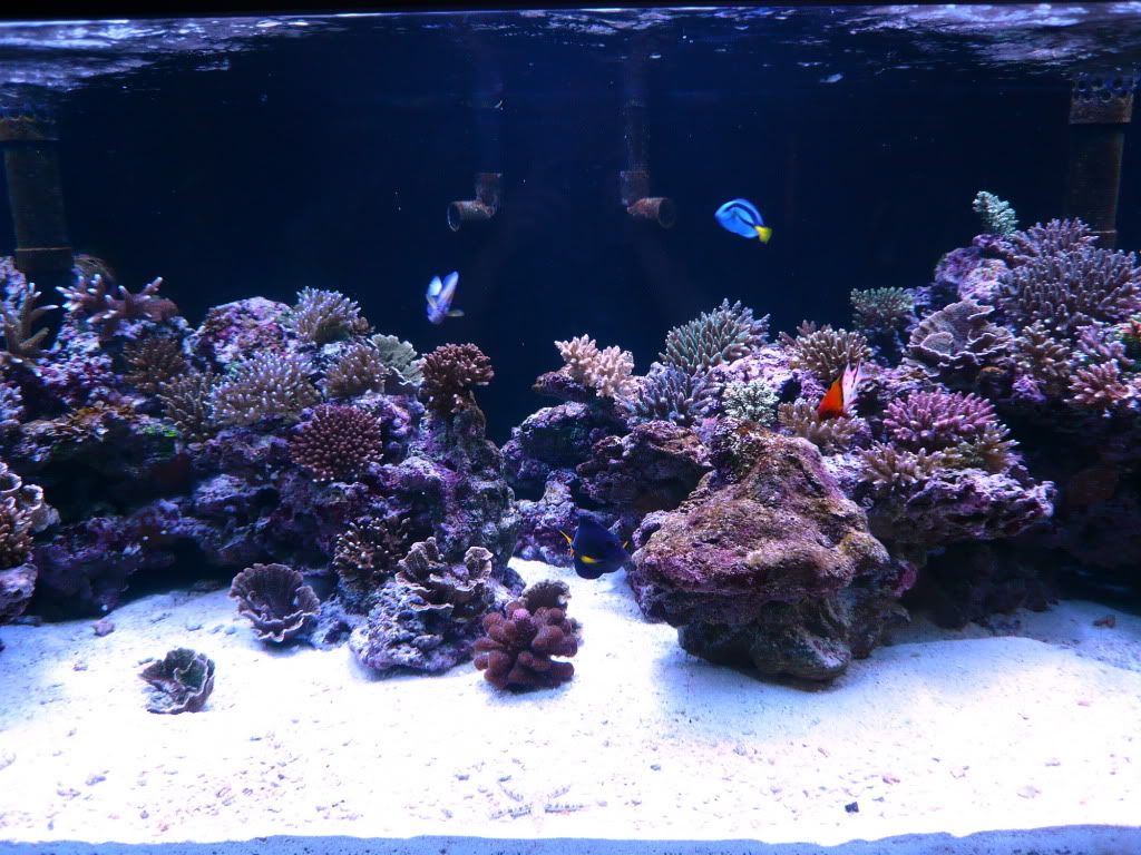 P1010574_resize.jpg