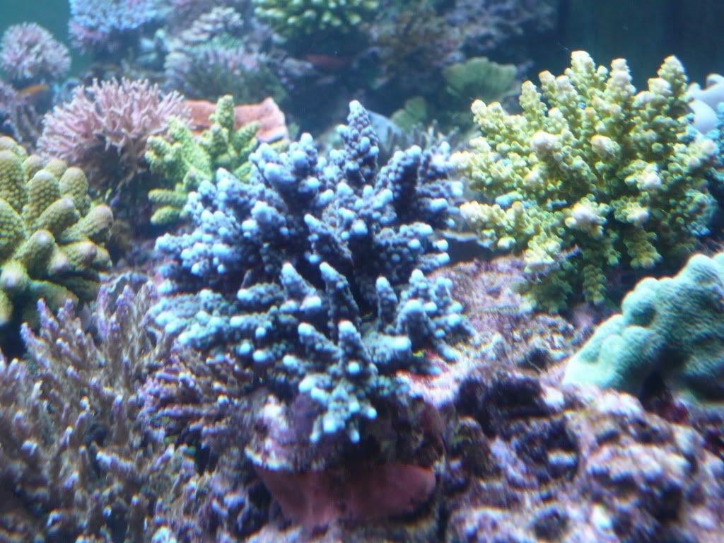 P1010719_modify.jpg