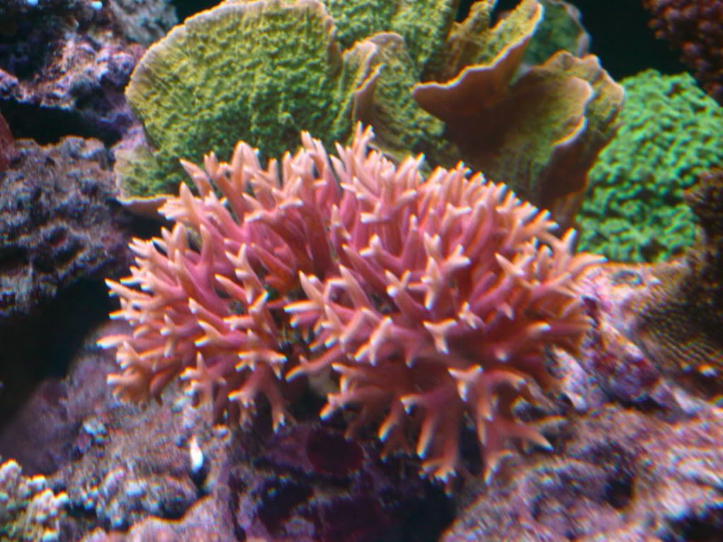 P1010782-resize.jpg