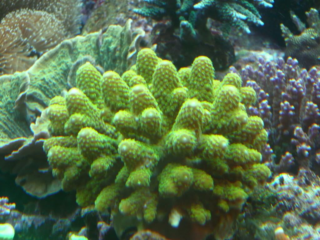 P1010794-resize.jpg