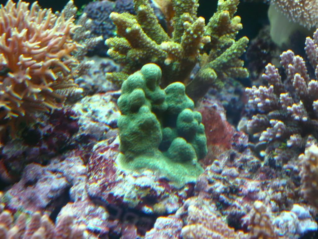P1010799-resize.jpg