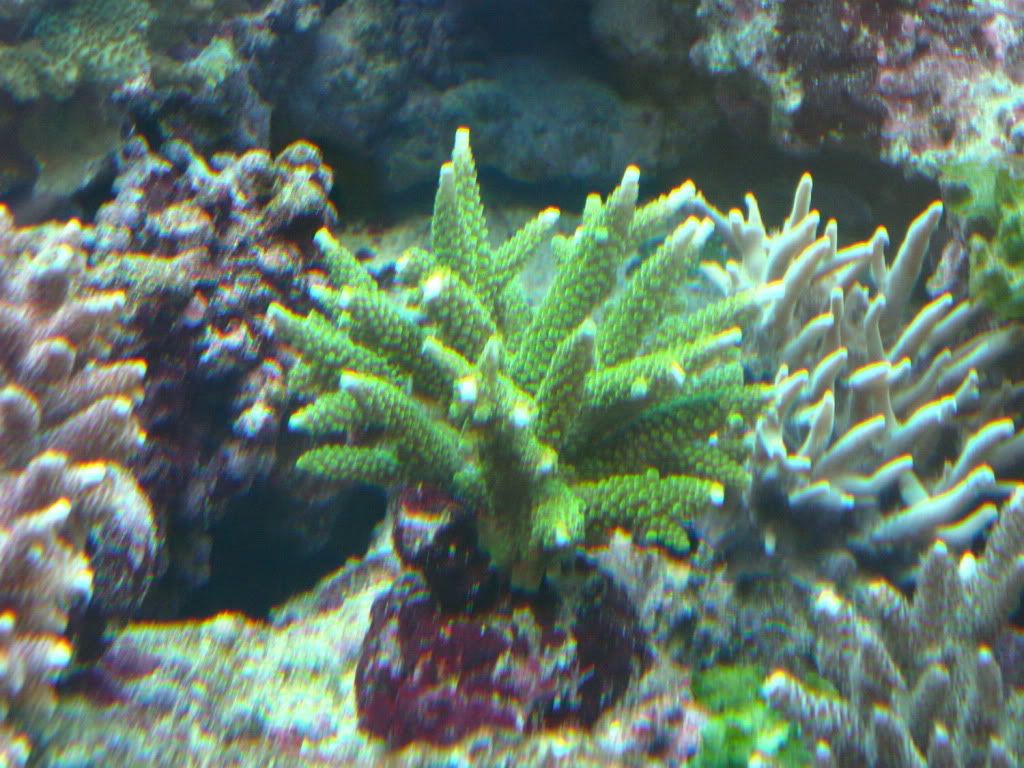 P1010813_resize.jpg