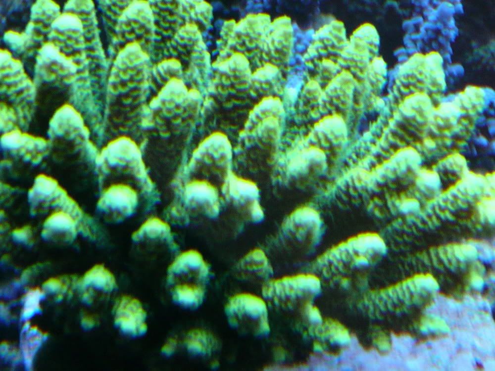 P1010885-resize.jpg