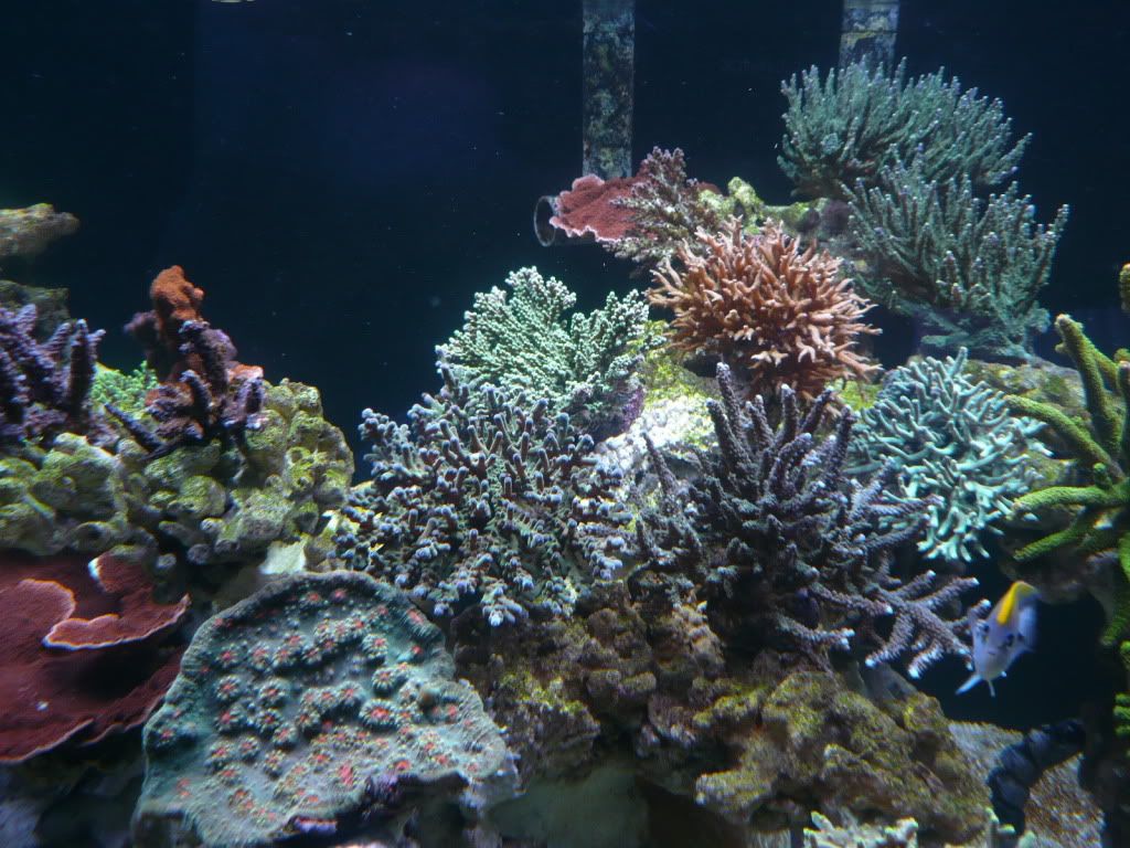 P1030942-UP.jpg