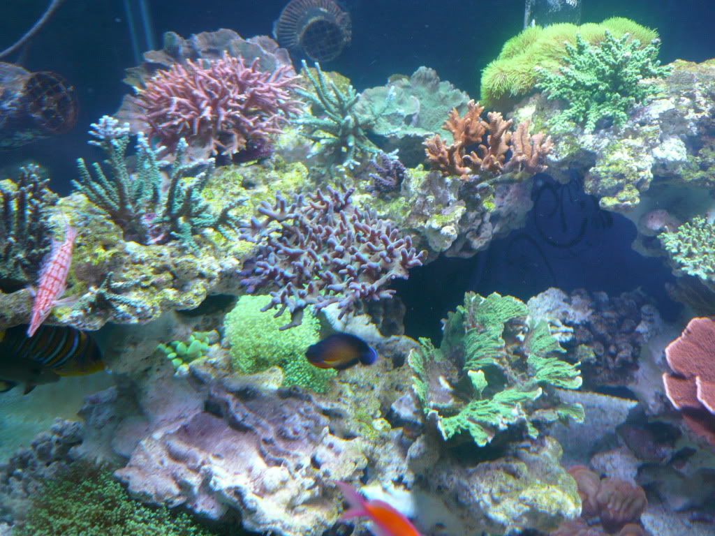 P1030998-UP.jpg