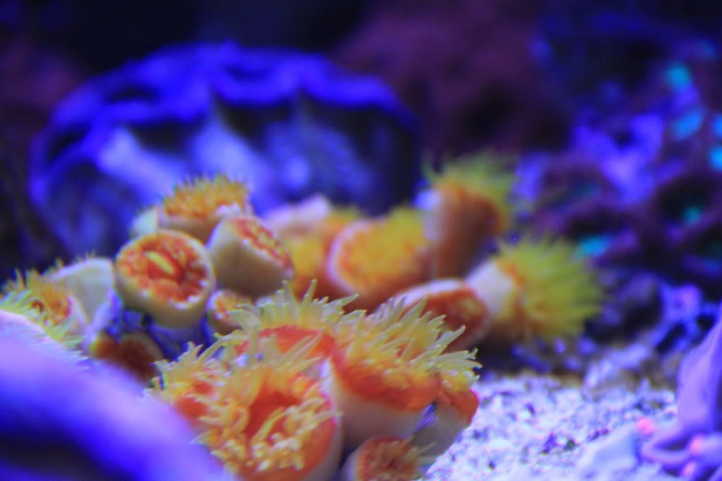 IMG_1250-RESIZE.jpg