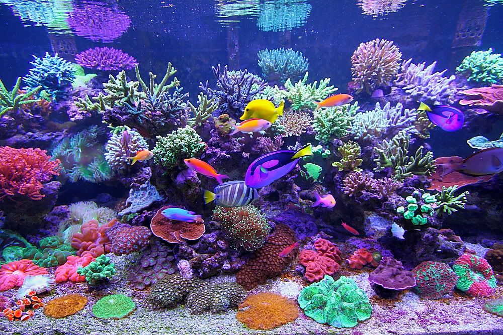 IMG_5473_RESIZE.jpg