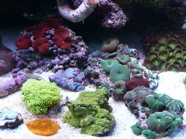 P1020867-edit.jpg