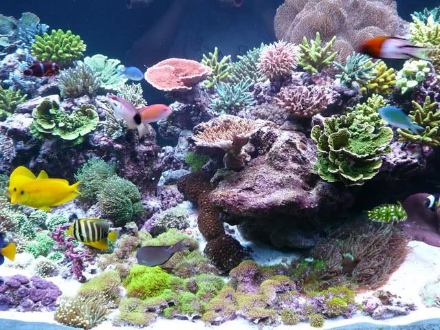 P1020870-edit.jpg