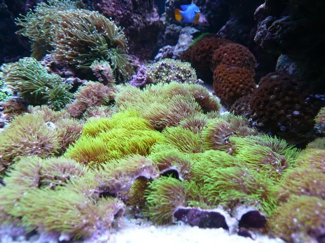 P1020884-edit.jpg