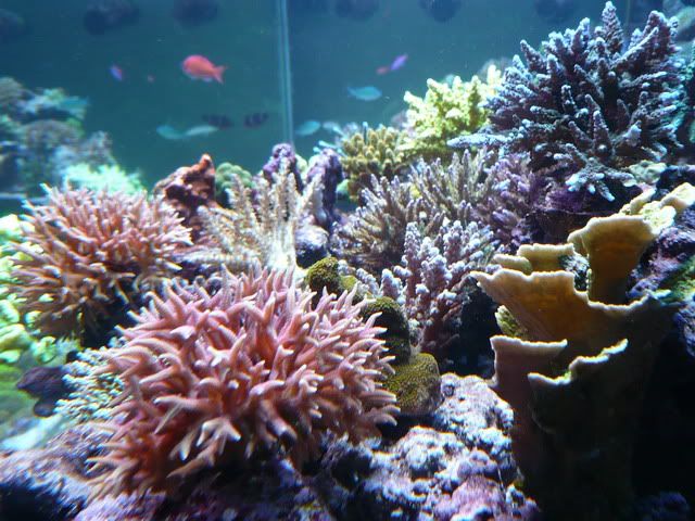 P1020916-edit.jpg