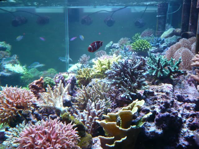 P1020922-edit.jpg