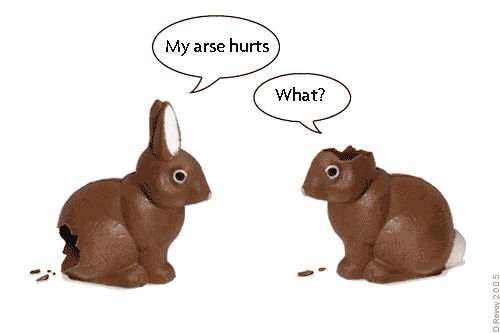 pet humor