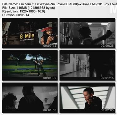 lil wayne and eminem no love lyrics. Eminem ft. Lil Wayne | No Love