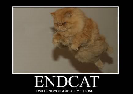 endcat.jpg