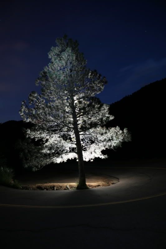 IMAGE: http://i662.photobucket.com/albums/uu344/AuthenticImage/Colorado/IMG_7492.jpg