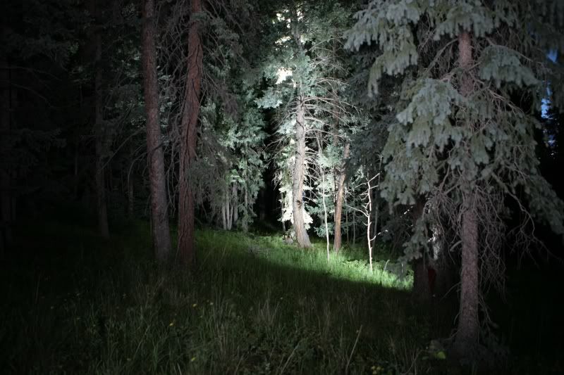 IMAGE: http://i662.photobucket.com/albums/uu344/AuthenticImage/Colorado/IMG_9602.jpg