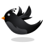 Black_Twitter_Bird