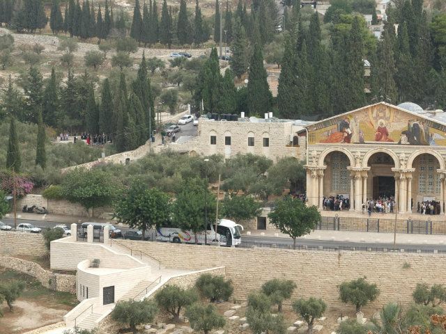 The Garden of Gethsemane (from the Arab cemetery next to the Eastern Gate, Jerusalem)