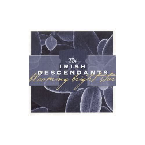 the irish descendants