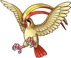 pidgeot.png