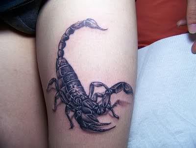 scorpion tattoo design. Scorpion Scorpion Tattoo