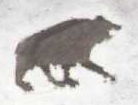 Beartotem.png