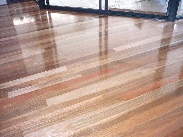 Spotted Gum floorboard pictures