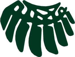 EA Forums
Oregon Ducks Football Wings Logo