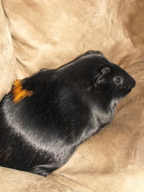 137.jpg