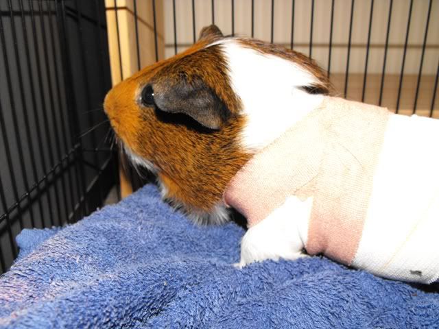 DSCF3668.jpg