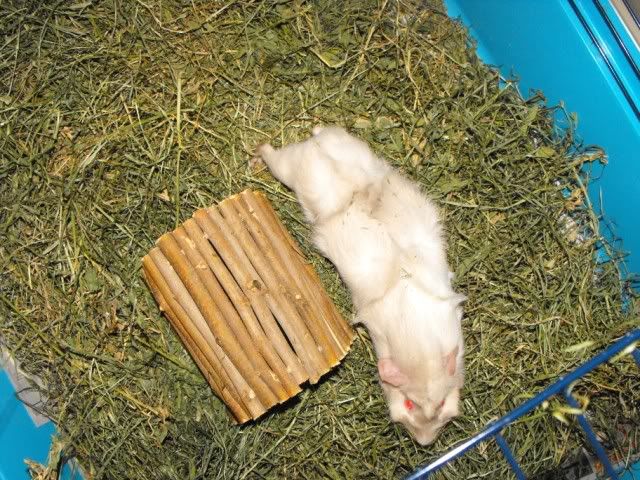 DSCF5693.jpg
