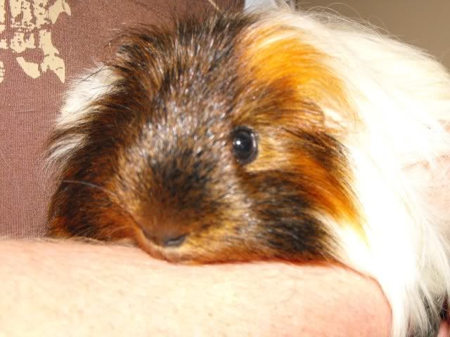 DSCF5714.jpg