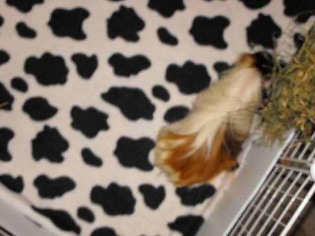 DSCF5716.jpg