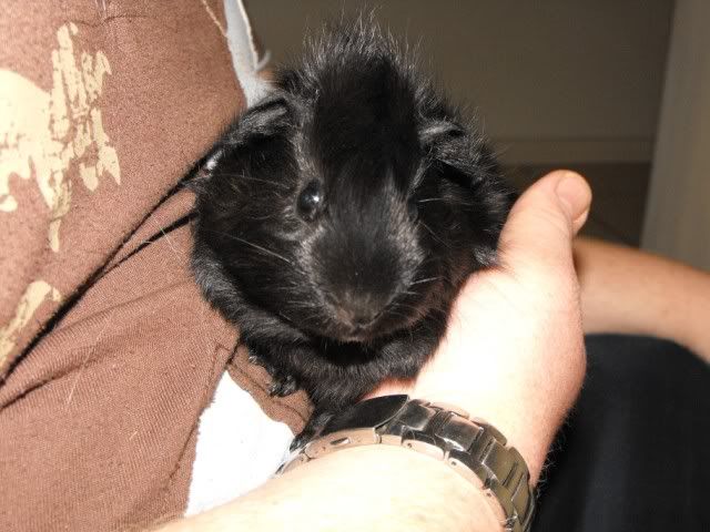 DSCF5720.jpg