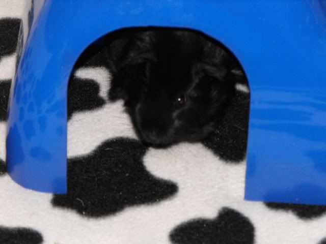 DSCF5724.jpg