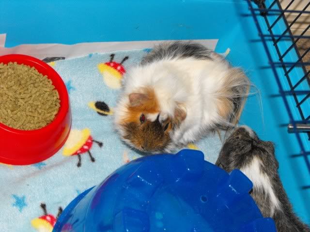 DSCF5725.jpg