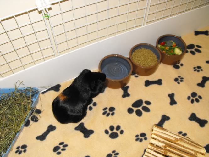 DSCF5924.jpg