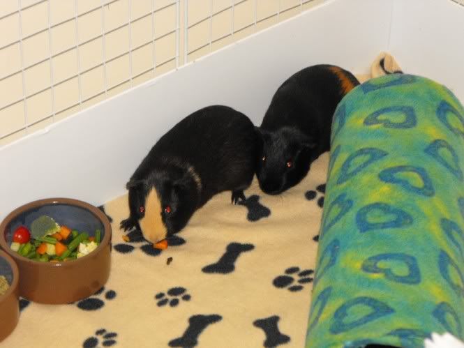 DSCF5963.jpg