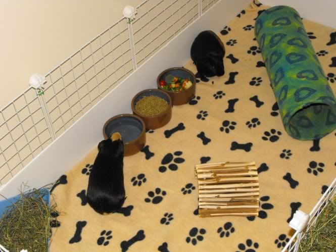 DSCF5986.jpg