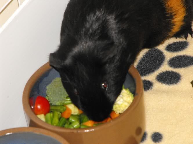 DSCF5990.jpg