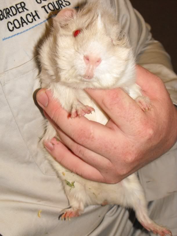 DSCF6428.jpg