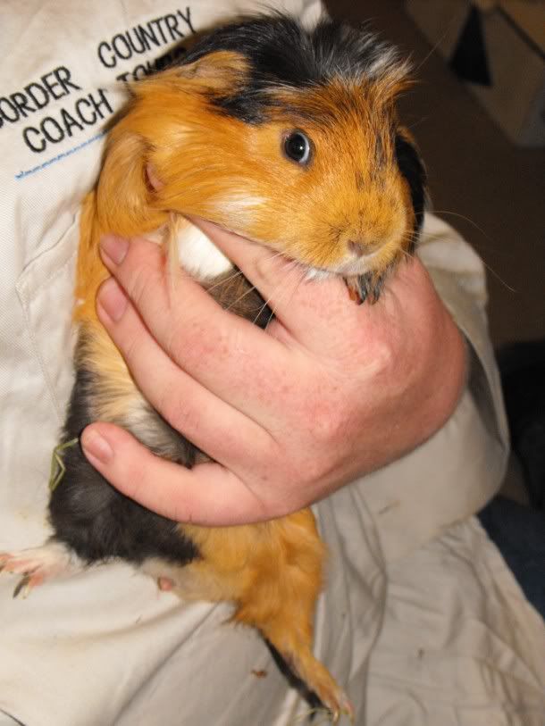 DSCF6431.jpg
