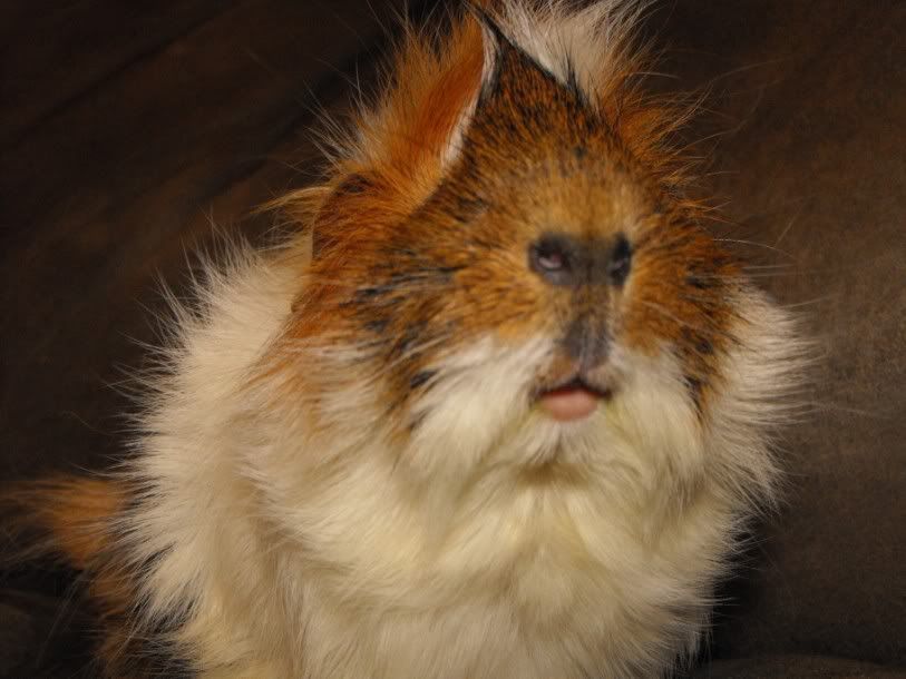 DSCF65811.jpg