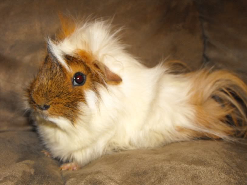 DSCF65881.jpg