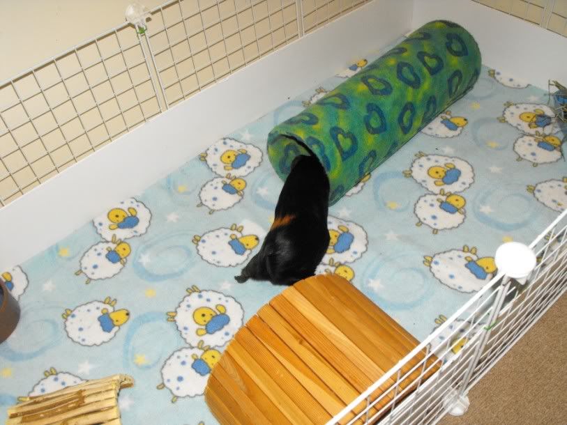 DSCF66061.jpg