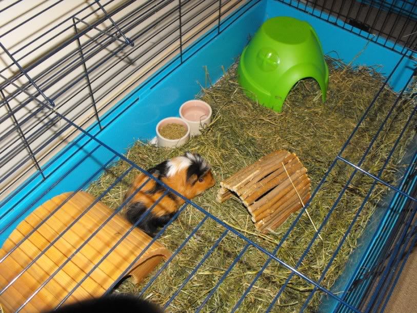 DSCF66181.jpg