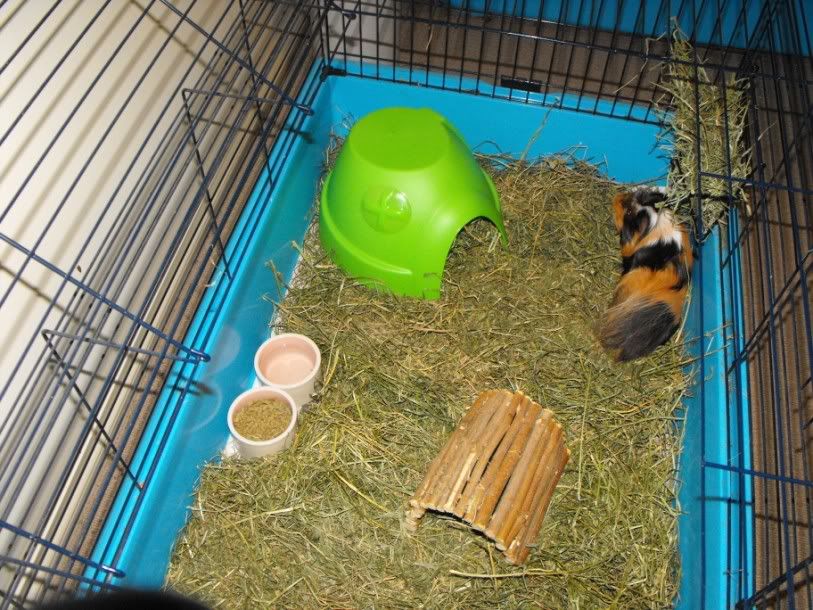 DSCF66191.jpg