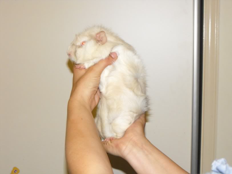 DSCF66231.jpg