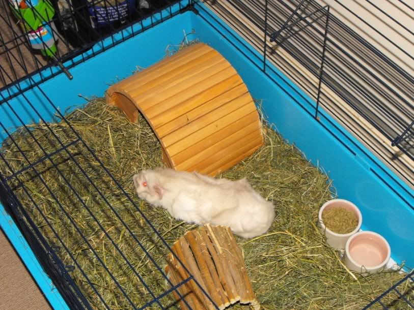 DSCF66241.jpg